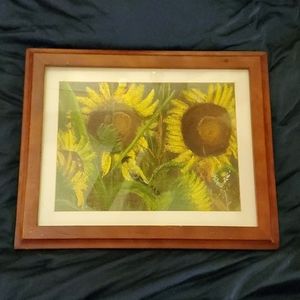 Sunflower picture